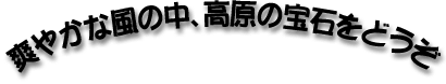 �u�₩�ȕ��̒��A�����̕�΂��ǂ���