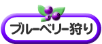 �u���[�x���[���