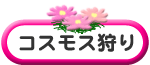 �R�X���X���