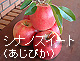 �V�i�m�X�C�[�g