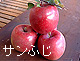 �T���ӂ�