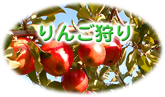 長野県のりんご狩り