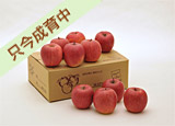 ���3.5kg�l