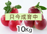 10kgl