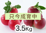3.5kgl