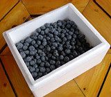 �u���[�x���[1kg�l�E500g�l