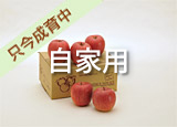 ��񂲎��Ɨp2kg