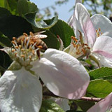 photo3
