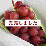 �N�C�[�����[�W���E�P�[����