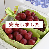 �N�C�[�����[�W���E�P�[����