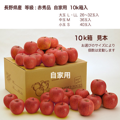 松井農園 - りんご 自家用 10Kg箱入