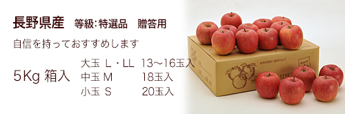 񂲓I5Kg