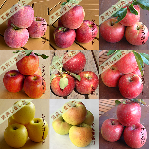 ��񂲓��I10Kg����