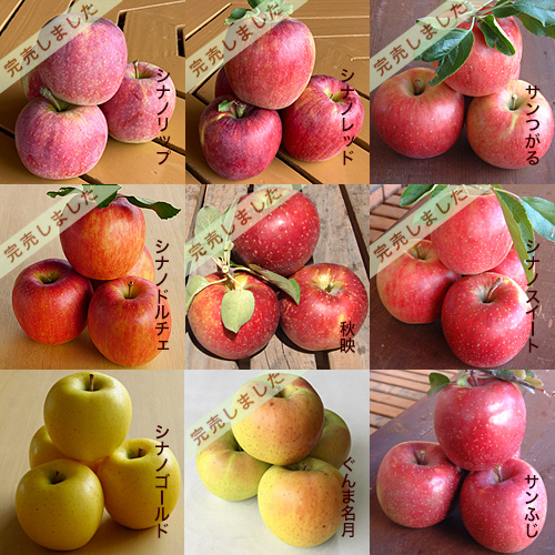 松井農園 - りんご特選品 3.5Kg箱入