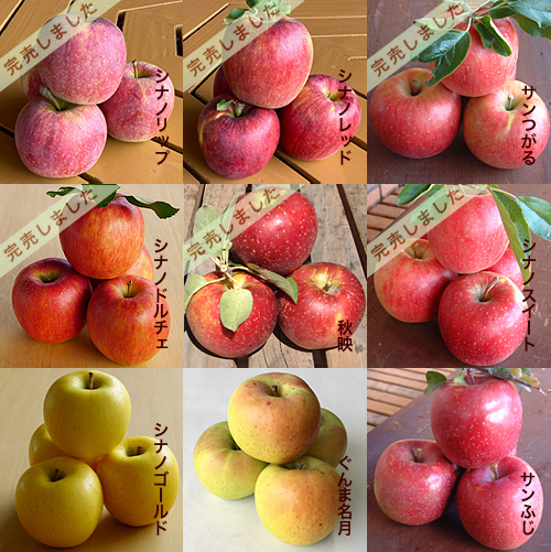 松井農園 - りんご特選品 3.5Kg箱入